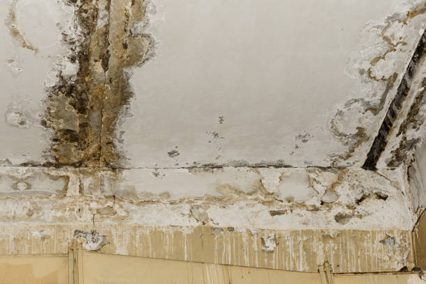 Best Indoor Air Quality Assessment  in South Gull Lake, MI