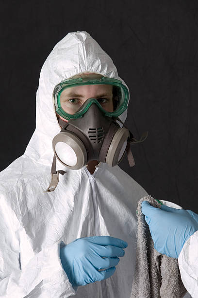 Mold Documentation for Insurance Claims in South Gull Lake, MI